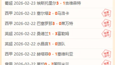 维尼修斯荣膺2025年国际足联年度最佳男足球员大奖